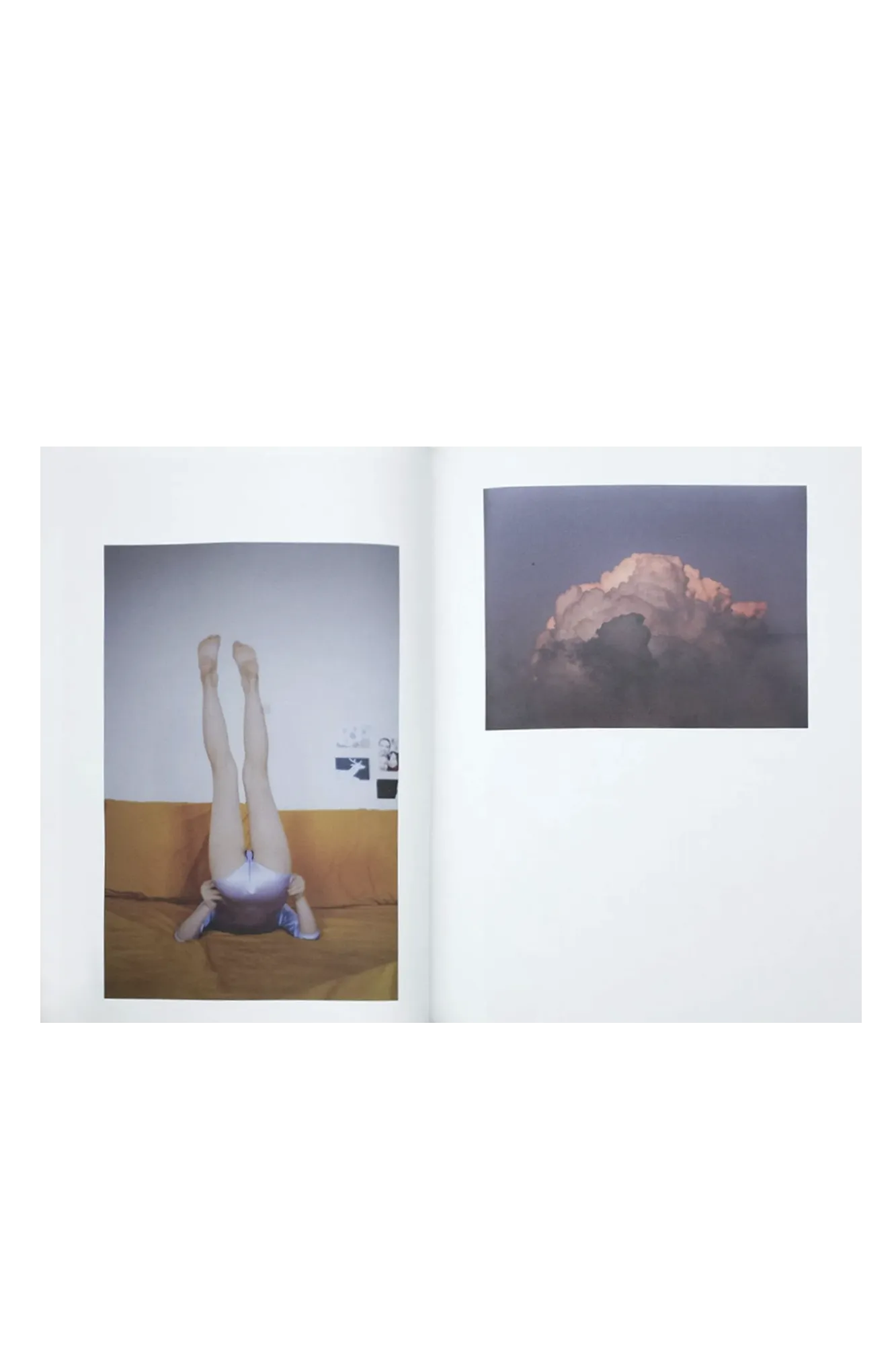 Dor by Mary Baldo